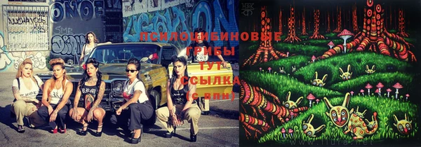 2c-b Вязники