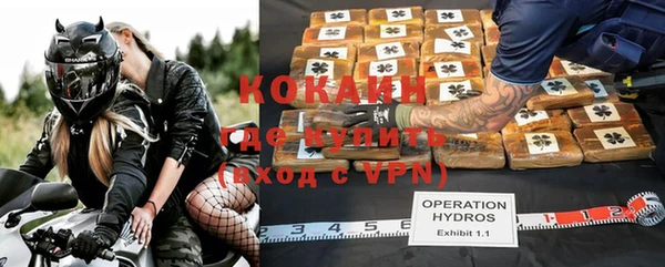 стаф Абаза