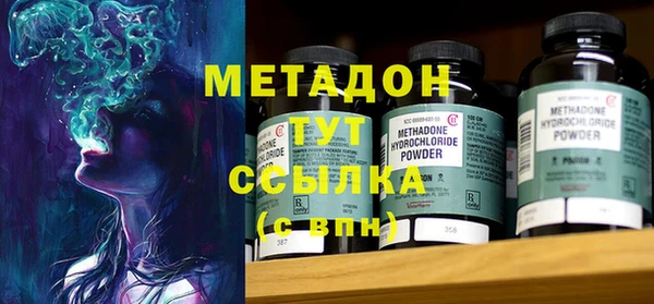прущие грибы Алзамай