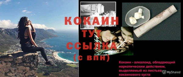 стаф Абаза