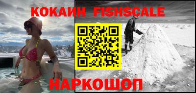 шишки Партизанск