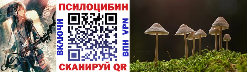 hydra tor  Старая Русса  Псилоцибиновые грибы прущие грибы 